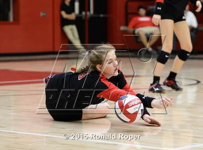 Thumbnail 1 in Carroll @ Lovejoy photogallery.