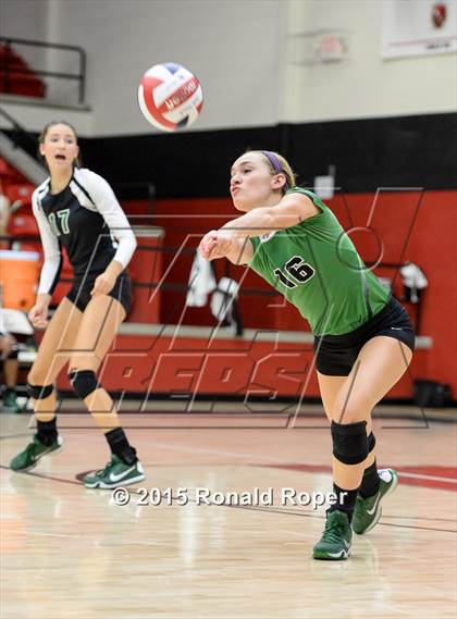 Thumbnail 1 in Carroll @ Lovejoy photogallery.