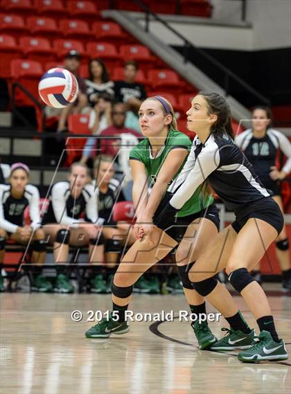 Thumbnail 3 in Carroll @ Lovejoy photogallery.