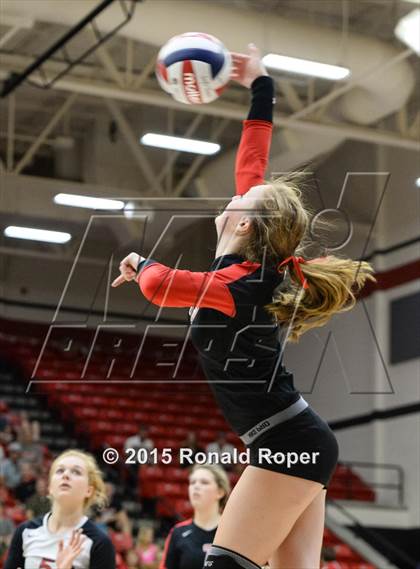 Thumbnail 3 in Carroll @ Lovejoy photogallery.