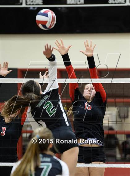Thumbnail 2 in Carroll @ Lovejoy photogallery.