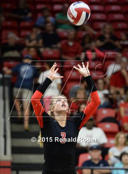 Thumbnail 1 in Carroll @ Lovejoy photogallery.