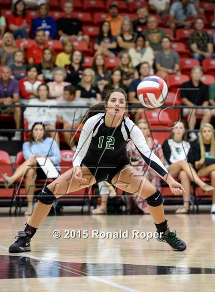 Thumbnail 3 in Carroll @ Lovejoy photogallery.