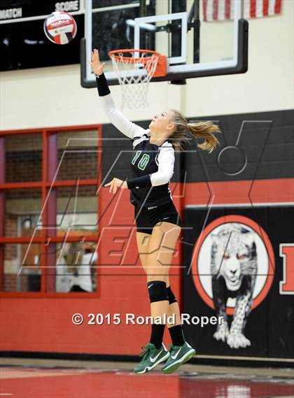 Thumbnail 1 in Carroll @ Lovejoy photogallery.