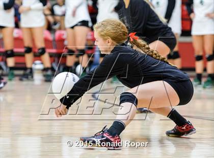 Thumbnail 3 in Carroll @ Lovejoy photogallery.