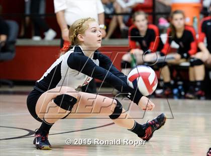 Thumbnail 1 in Carroll @ Lovejoy photogallery.