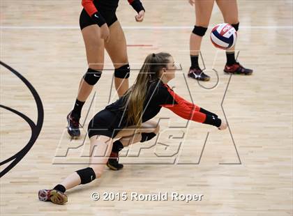 Thumbnail 3 in Carroll @ Lovejoy photogallery.
