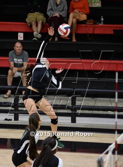 Thumbnail 2 in Carroll @ Lovejoy photogallery.