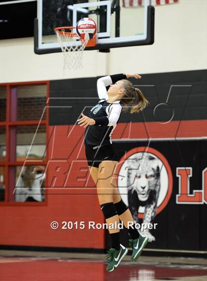 Thumbnail 2 in Carroll @ Lovejoy photogallery.