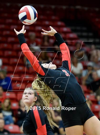 Thumbnail 3 in Carroll @ Lovejoy photogallery.