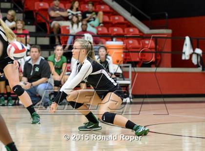 Thumbnail 1 in Carroll @ Lovejoy photogallery.
