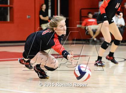 Thumbnail 2 in Carroll @ Lovejoy photogallery.