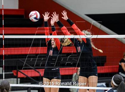 Thumbnail 1 in Carroll @ Lovejoy photogallery.