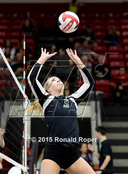 Thumbnail 3 in Carroll @ Lovejoy photogallery.