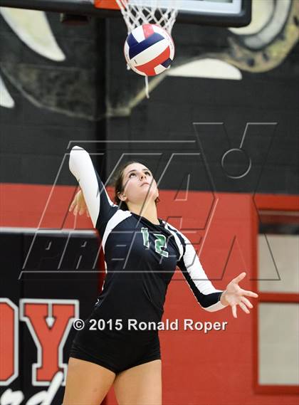 Thumbnail 2 in Carroll @ Lovejoy photogallery.