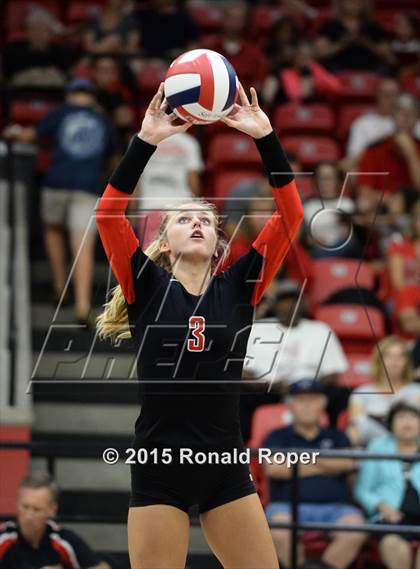 Thumbnail 3 in Carroll @ Lovejoy photogallery.