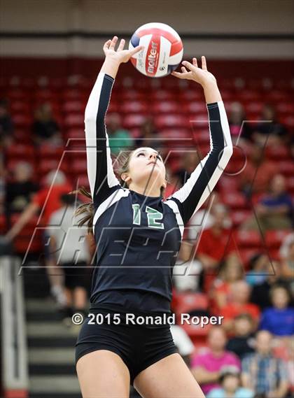 Thumbnail 2 in Carroll @ Lovejoy photogallery.