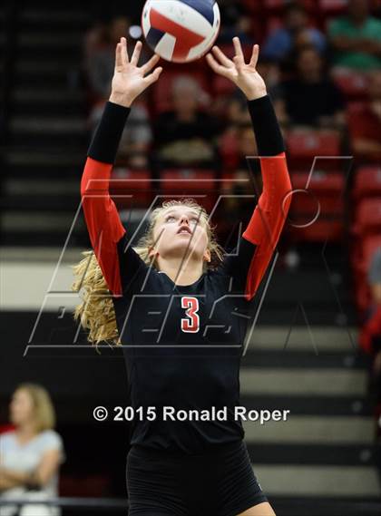 Thumbnail 1 in Carroll @ Lovejoy photogallery.