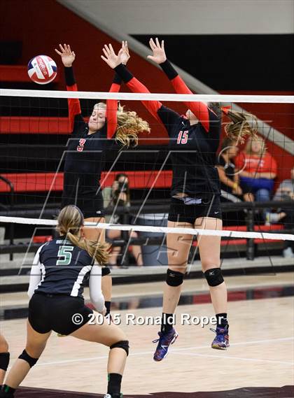 Thumbnail 1 in Carroll @ Lovejoy photogallery.