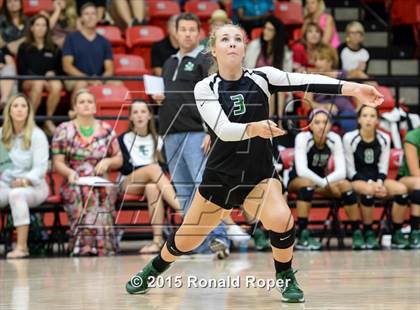 Thumbnail 3 in Carroll @ Lovejoy photogallery.