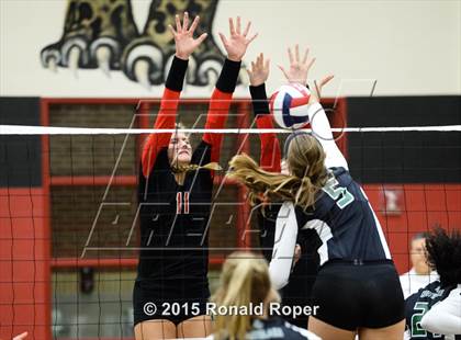 Thumbnail 1 in Carroll @ Lovejoy photogallery.