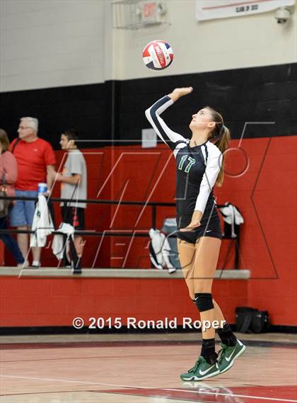 Thumbnail 2 in Carroll @ Lovejoy photogallery.