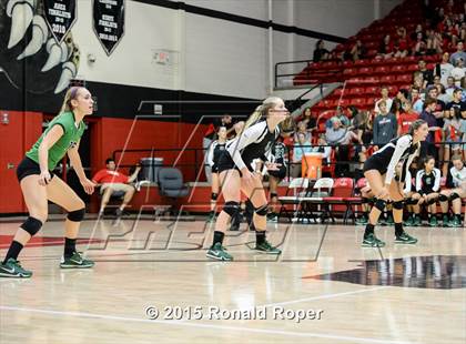 Thumbnail 2 in Carroll @ Lovejoy photogallery.