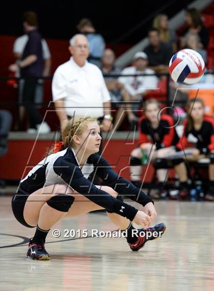 Thumbnail 3 in Carroll @ Lovejoy photogallery.