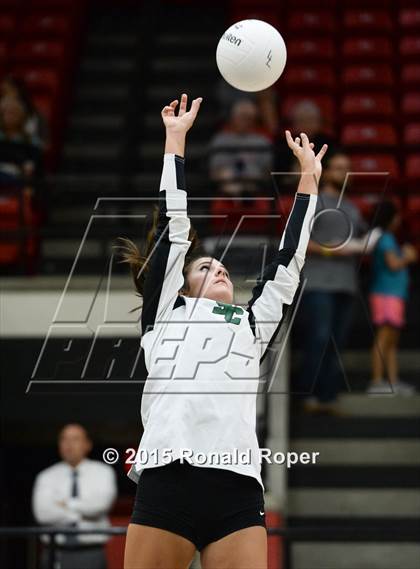 Thumbnail 2 in Carroll @ Lovejoy photogallery.