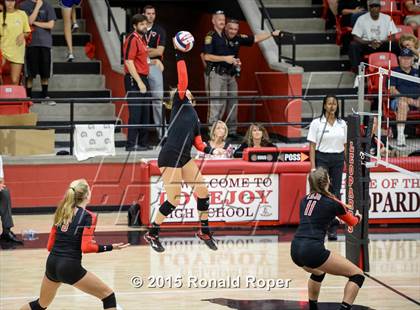 Thumbnail 2 in Carroll @ Lovejoy photogallery.