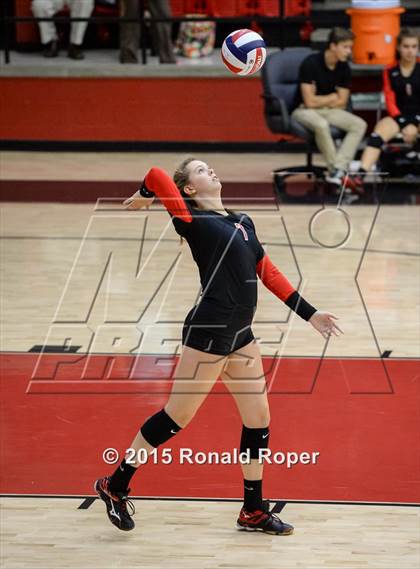 Thumbnail 1 in Carroll @ Lovejoy photogallery.