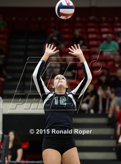 Thumbnail 1 in Carroll @ Lovejoy photogallery.