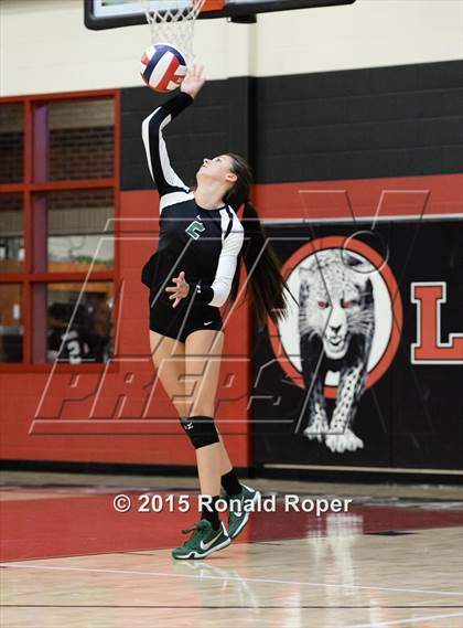 Thumbnail 3 in Carroll @ Lovejoy photogallery.