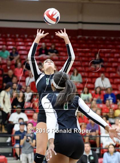 Thumbnail 3 in Carroll @ Lovejoy photogallery.