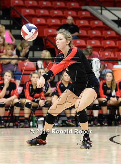 Thumbnail 1 in Carroll @ Lovejoy photogallery.