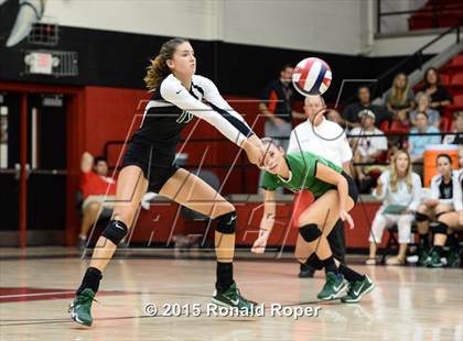 Thumbnail 1 in Carroll @ Lovejoy photogallery.