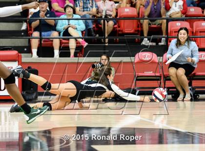 Thumbnail 3 in Carroll @ Lovejoy photogallery.