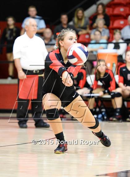 Thumbnail 1 in Carroll @ Lovejoy photogallery.