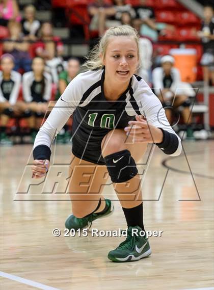 Thumbnail 1 in Carroll @ Lovejoy photogallery.