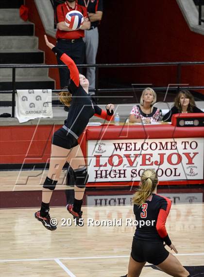 Thumbnail 3 in Carroll @ Lovejoy photogallery.