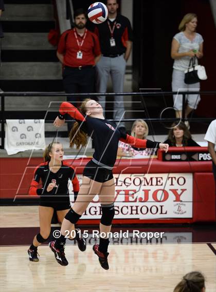 Thumbnail 3 in Carroll @ Lovejoy photogallery.