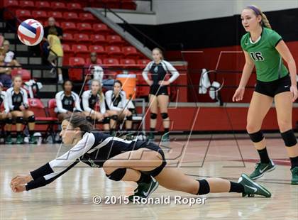 Thumbnail 1 in Carroll @ Lovejoy photogallery.