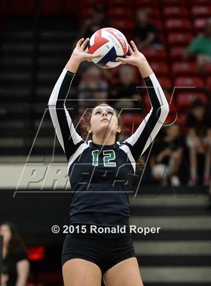Thumbnail 3 in Carroll @ Lovejoy photogallery.