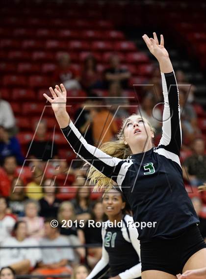 Thumbnail 1 in Carroll @ Lovejoy photogallery.