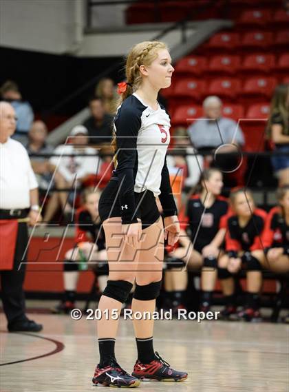 Thumbnail 1 in Carroll @ Lovejoy photogallery.