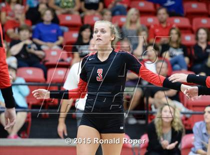 Thumbnail 2 in Carroll @ Lovejoy photogallery.