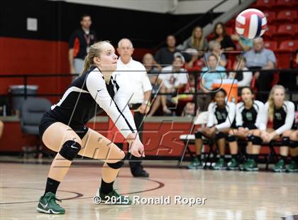 Thumbnail 2 in Carroll @ Lovejoy photogallery.