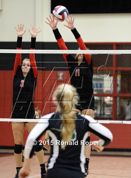 Thumbnail 3 in Carroll @ Lovejoy photogallery.