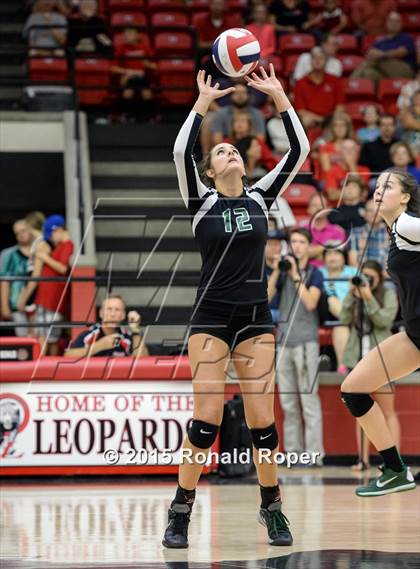 Thumbnail 1 in Carroll @ Lovejoy photogallery.