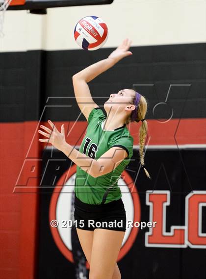Thumbnail 3 in Carroll @ Lovejoy photogallery.